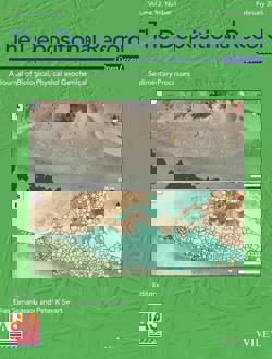 The Depositional Record