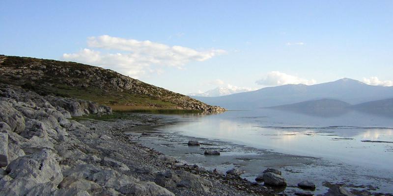Arazi7