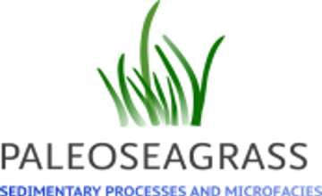 Palaeoseagrass