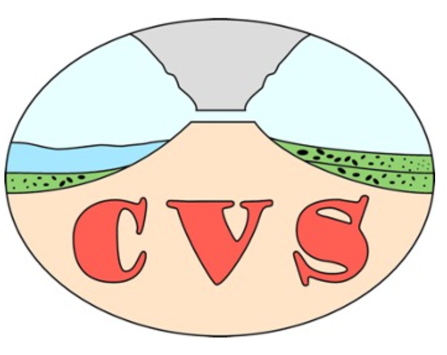 CVS.jpg